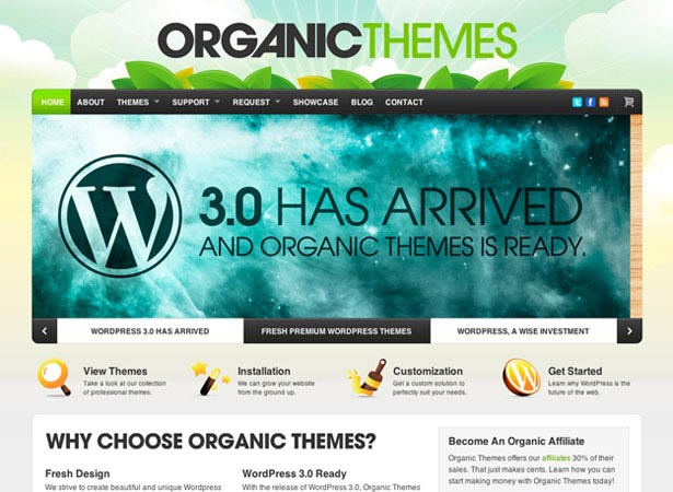 10 Places to Buy Professionally Designed WordPress Themes Organic Themes