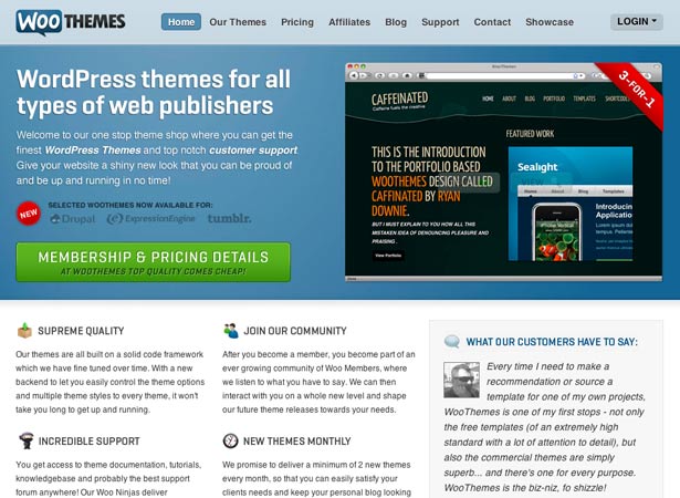 10 Places to Buy Professionally Designed WordPress Themes Woo Themes