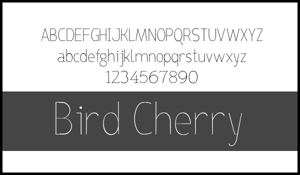Bird Cherry
