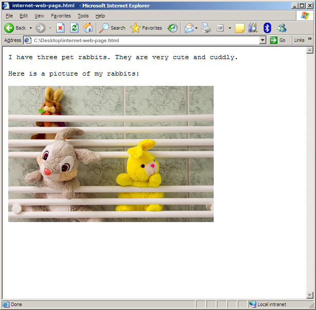 Your rabbits on the internet Your rabbits on the internet