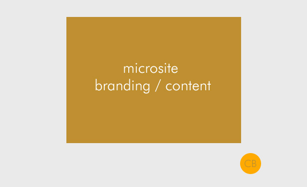 Designing Microsites: Factors To Consider Solution 4: One-Page Promo