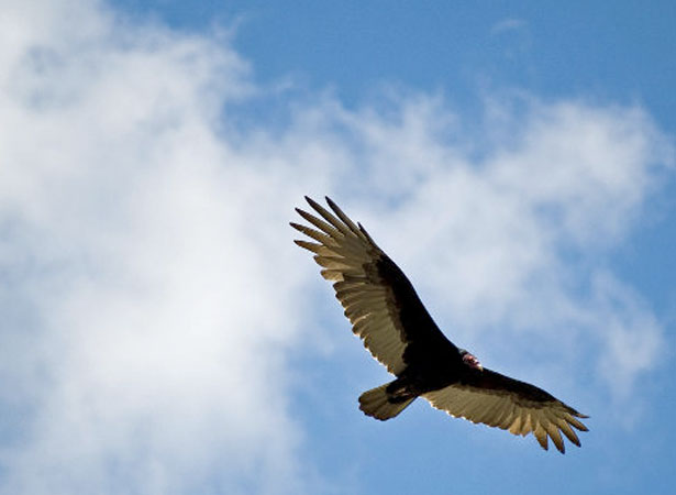 Our Favorite Tweets of the Week <br/>Jul 18-Jul 25, 2010 7 28