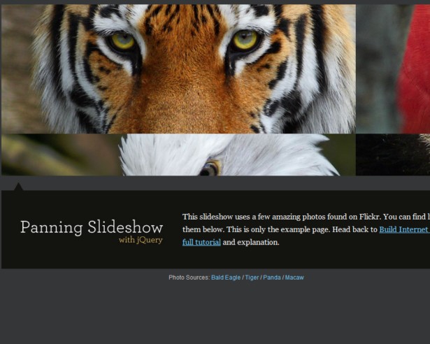 20+ Demos Showing Advanced jQuery Effects 21 panningslider