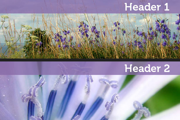 A Complete Guide to A/B Testing headerab
