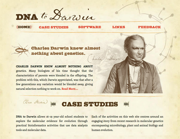 A Collection of Splendid Illustrated Websites dnatodarwin