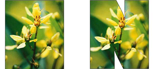 Mixing Type and Imagery: How to Manage a Controlled Collision sample of how letters cut into photos