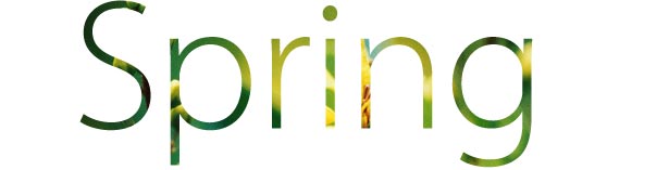 Mixing Type and Imagery: How to Manage a Controlled Collision sample of text too thin for the photo within