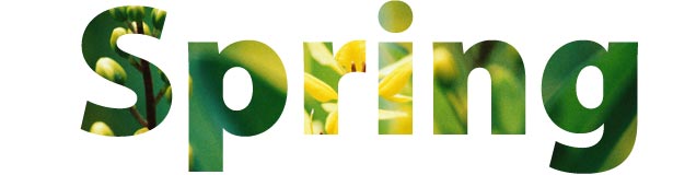 Mixing Type and Imagery: How to Manage a Controlled Collision thicker text shows more image
