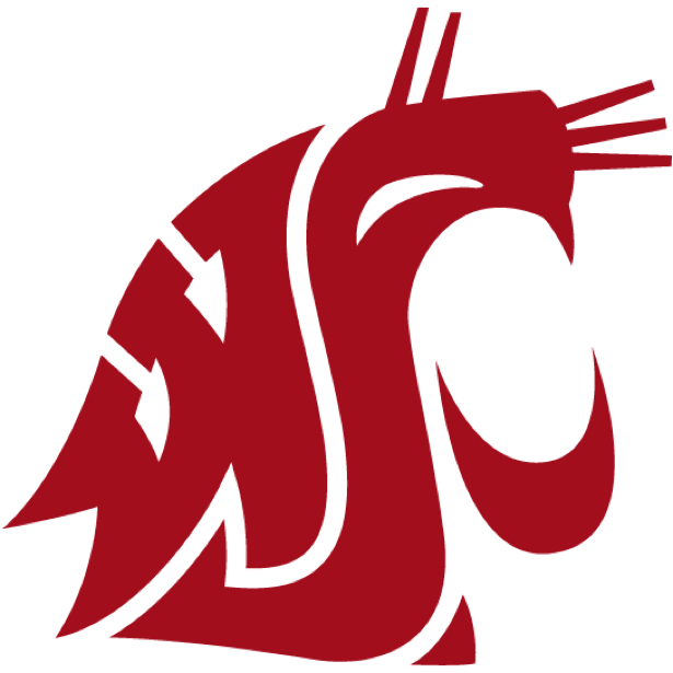 Smart Logos with Hidden Symbolism WSULogo