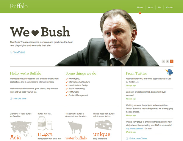 Awesome Recent Website Redesigns buffalo new