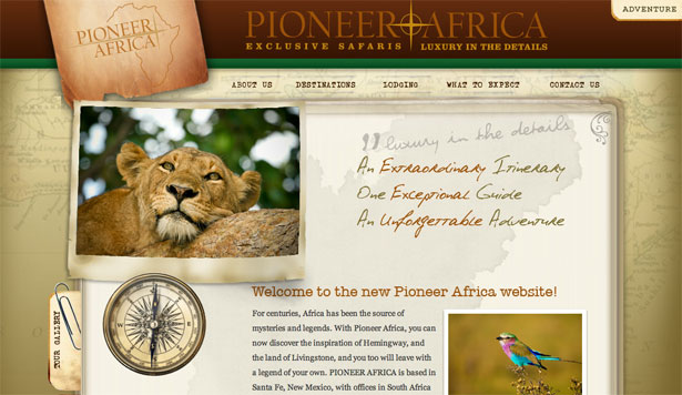 The Best Website Designs of the 2010 World Cup Pioneer Africa