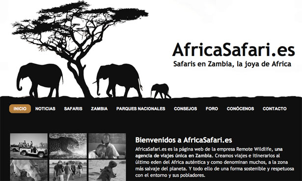 The Best Website Designs of the 2010 World Cup Africa Safari