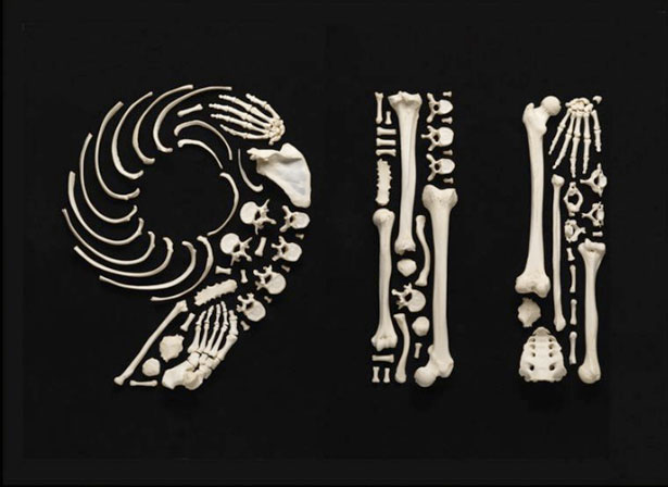 The Creepy Art of Human Bones 911