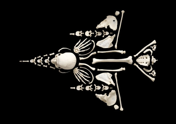 The Creepy Art of Human Bones FighterJet