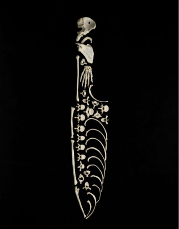 The Creepy Art of Human Bones Knife