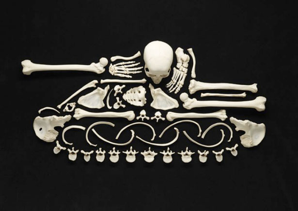 The Creepy Art of Human Bones Tank