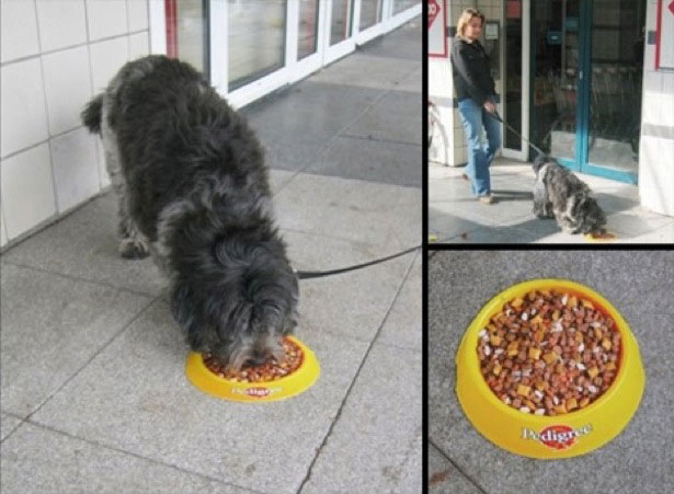 Creative Uses of Stickers in Advertising Pedigree