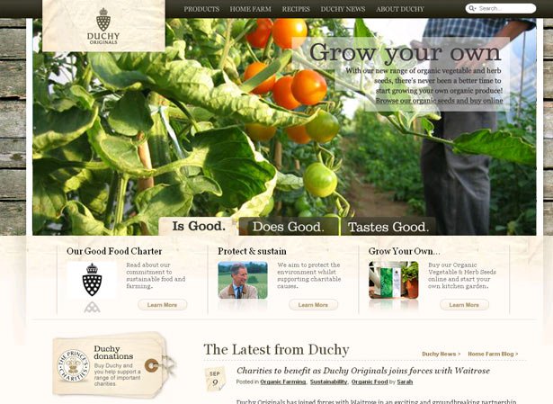 Web Design Trends for 2010 duchyoriginals