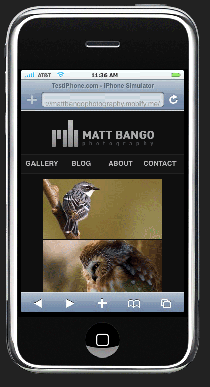 Web Design Trends for 2010 mattbangophotography