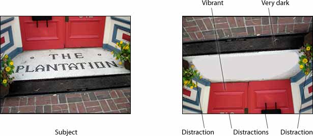 Avoid “Perfect Photo” Syndrome sample technique for finding distractions in a photo