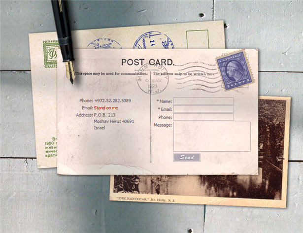 Beautiful Contact Forms for your Inspiration lionways