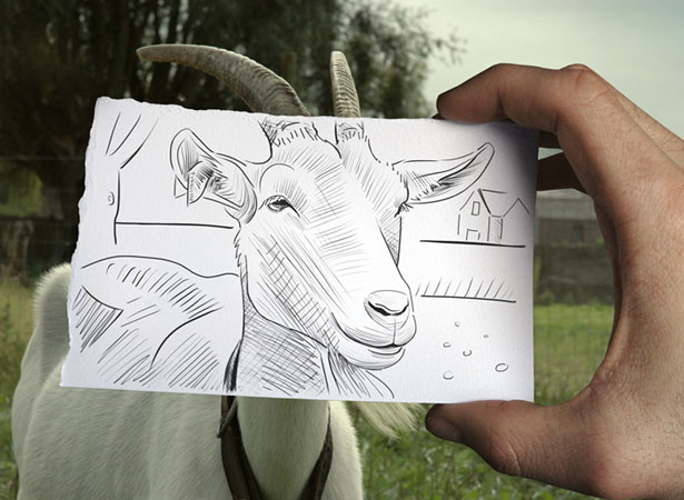 Our Favorite Tweets of the Week <br/> Apr 25-May 1, 2010 1 63