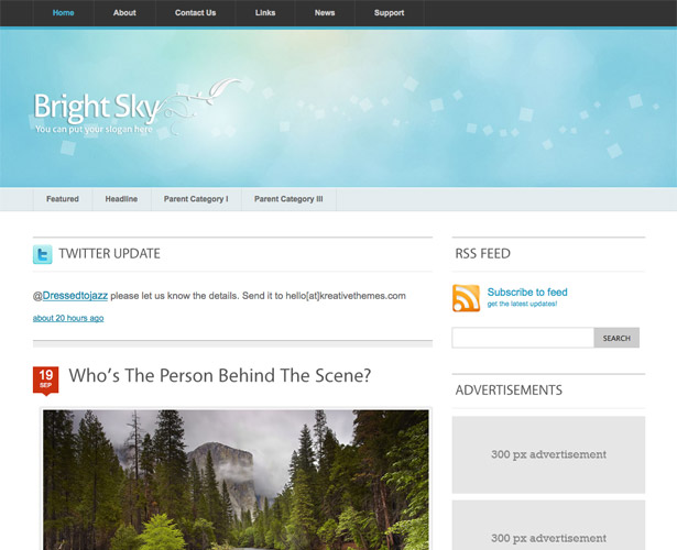 60+ Awesome New WordPress Themes brightsky