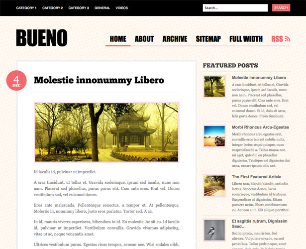 60+ Awesome New WordPress Themes bueno