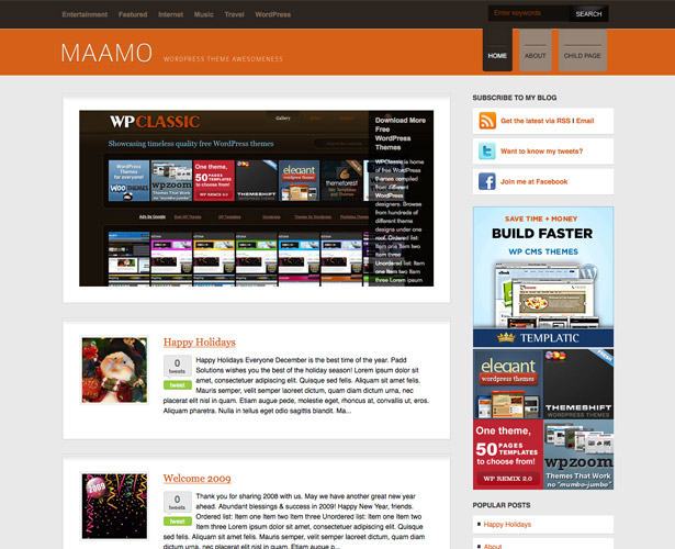 60+ Awesome New WordPress Themes maamo