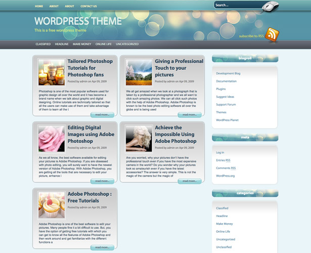 60+ Awesome New WordPress Themes melitus