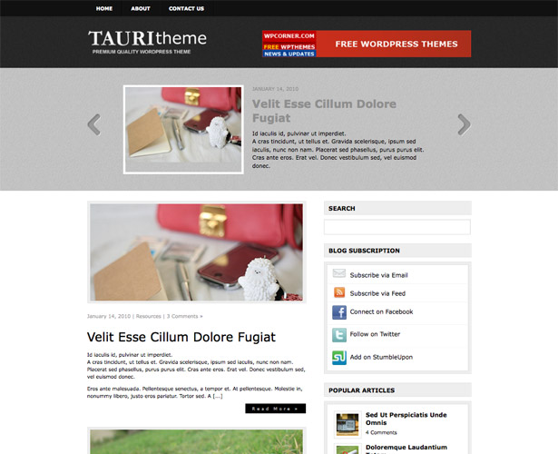 60+ Awesome New WordPress Themes tauri