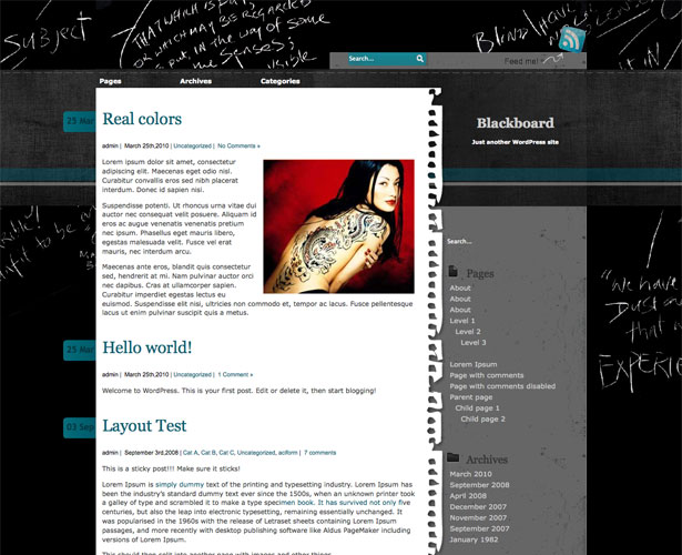 60+ Awesome New WordPress Themes blackboard