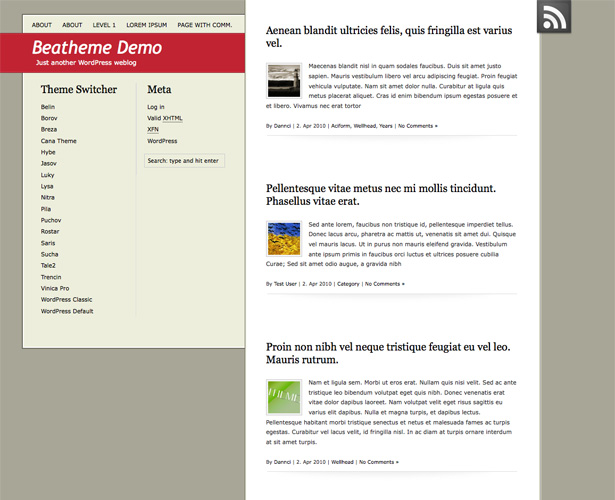 60+ Awesome New WordPress Themes jasov