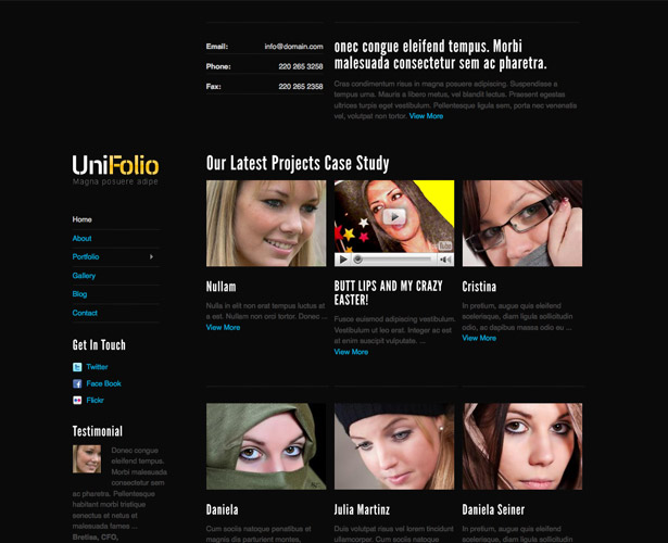 60+ Awesome New WordPress Themes unifolio