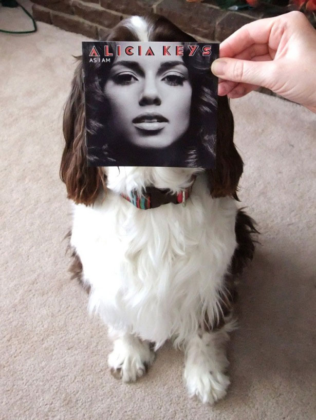 Captivating Examples of Sleeveface Photography AliciaKeys