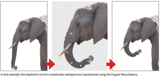 Adobe Creative Suite 5 Brings Sexy Back elephant