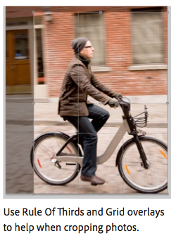 Adobe Creative Suite 5 Brings Sexy Back rule of thirds