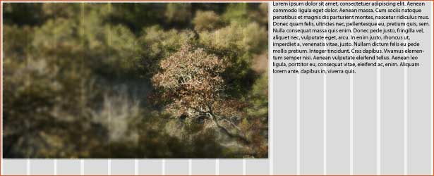 Fight Div-itis and Class-itis With the 960 Grid System photo and caption on a grid with minimal HTML