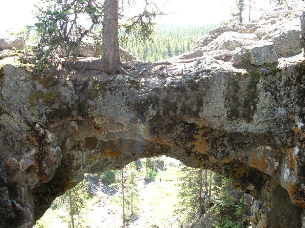 The World's Most Beautiful Bridges NaturalBridge