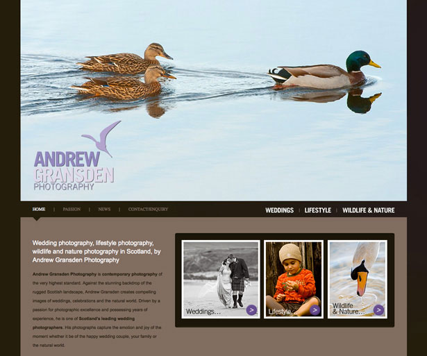 Showcase of Photography Portfolio Websites html portfolios 12