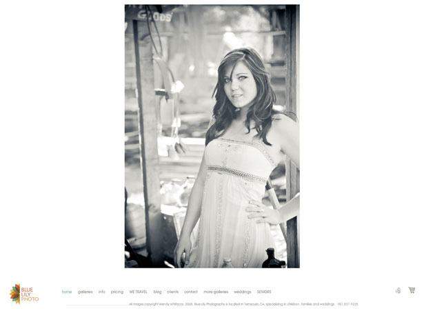 Showcase of Photography Portfolio Websites flash portfolios 08