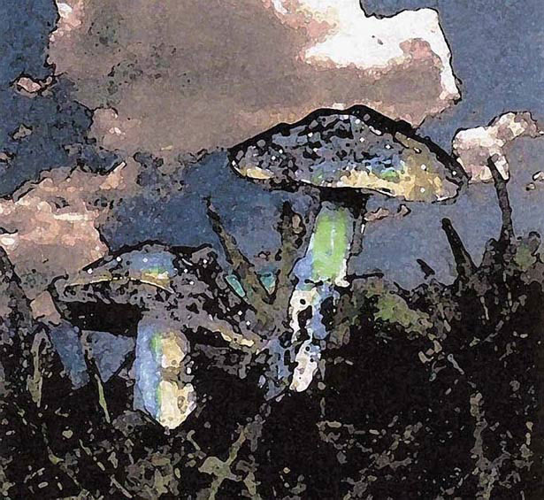 The Amazing Art of Disabled Artists mushroom