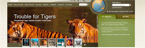 Fantastic Content Sliders for your Inspiration worldwildlife