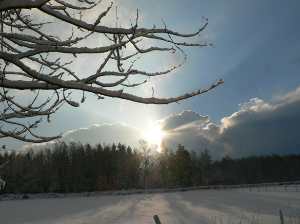 How to Kill the Design Community winter