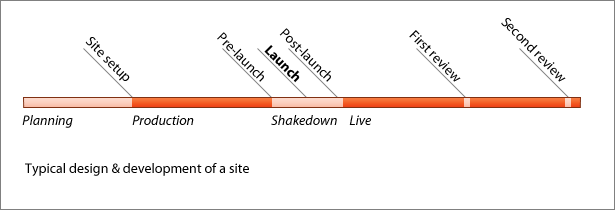 timeline of website development