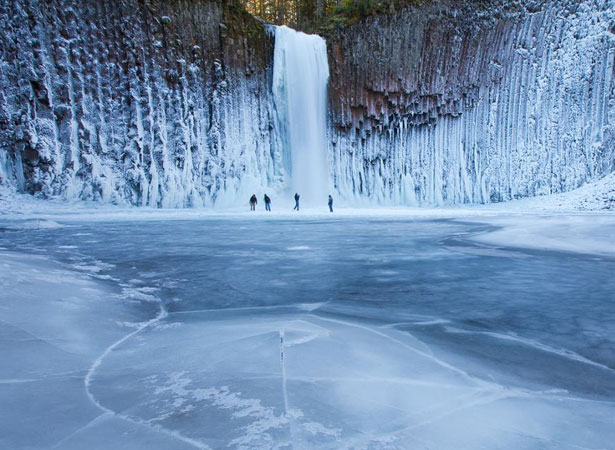 Our Favorite Tweets of the Week <br/>Jan 31-Feb 6, 2010 41 3