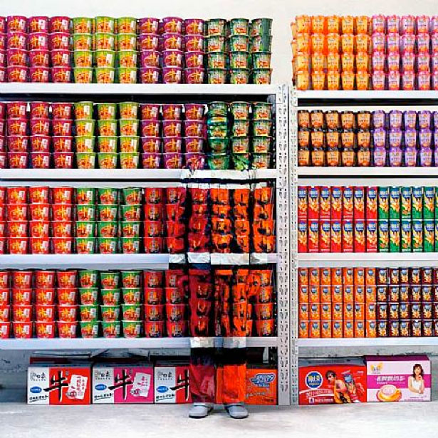 The Hidden Art of Camouflage Photography 28 3