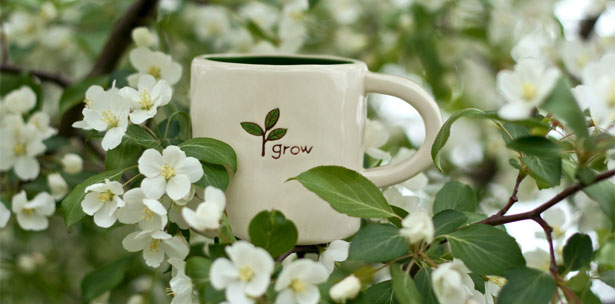 How to Grow as a Web Designer Grow