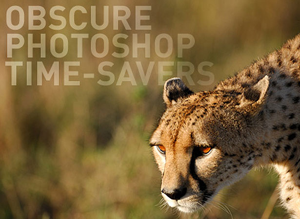 Our Favorite Tweets of the Week <br/>Jan 17-Jan 23, 2010 15 54
