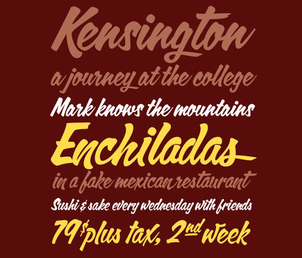 Beautiful curvy brush fonts for design 17 41